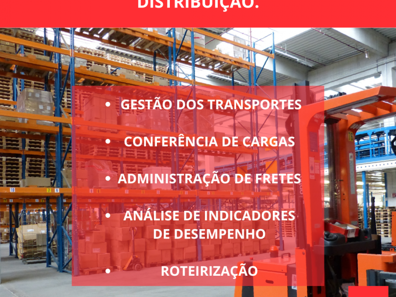 As Cinco Etapas Essenciais para a Logstica de Distribuio de Sucesso